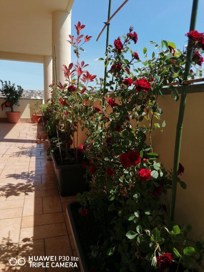 شيفيتافيكْيا B&Byanet'S Beautiful House المظهر الخارجي الصورة